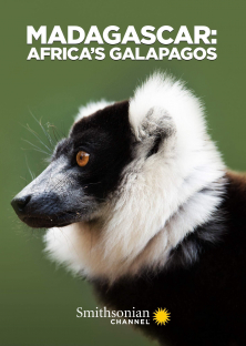 Madagascar: Africa's Galapagos-Madagascar: Africa's Galapagos