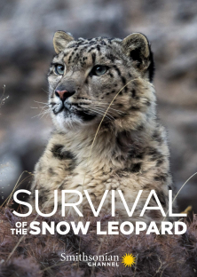 Survival Of The Snow Leopard-Survival Of The Snow Leopard