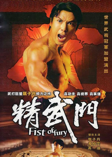Fist of Fury (1995) Episode 4