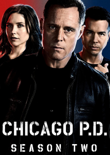 Chicago P.D. (Season 2)-Chicago P.D. (Season 2)