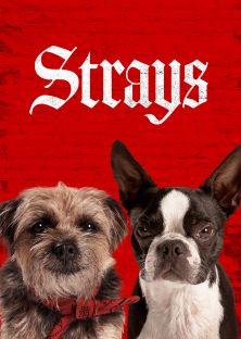 Strays-Strays