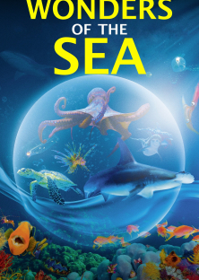 Wonders of the Sea 3D-Wonders of the Sea 3D