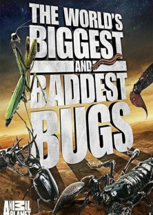 The World's Biggest and Baddest Bugs-The World's Biggest and Baddest Bugs