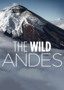 The Wild Andes-The Wild Andes