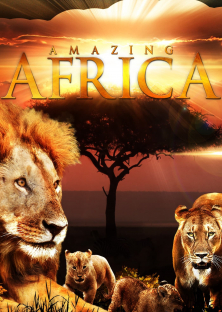 Amazing Africa-Amazing Africa