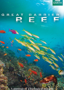 Great Barrier Reef-Great Barrier Reef