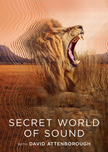 Secret World of Sound-Secret World of Sound