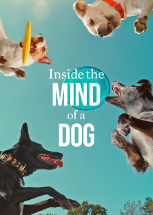 Inside the Mind of a Dog-Inside the Mind of a Dog