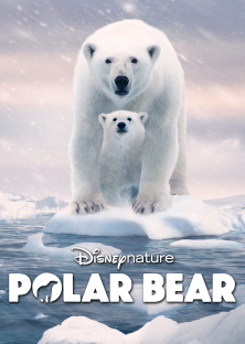 Polar Bear-Polar Bear