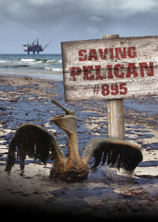 Saving Pelican 895-Saving Pelican 895