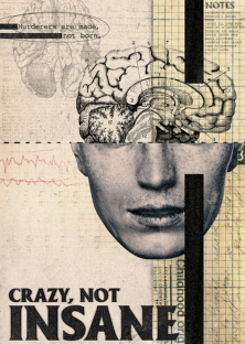 Crazy, Not Insane-Crazy, Not Insane