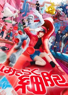 Cells at Work!-Cells at Work!