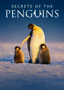 Secrets of the Penguins-Secrets of the Penguins