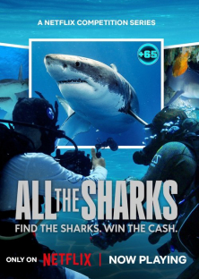All the Sharks-All the Sharks