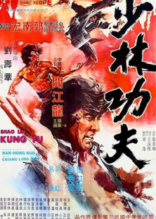 Shaolin Kung Fu-Shaolin Kung Fu