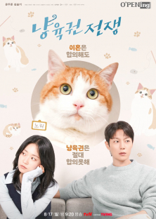 냥육권 전쟁-냥육권 전쟁