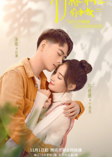 Falling in Love-Falling in Love
