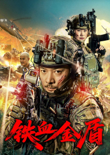 Operation Golden Shield-Operation Golden Shield