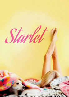 Starlet-Starlet