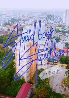 Stupid Boys Stupid Love-Stupid Boys Stupid Love